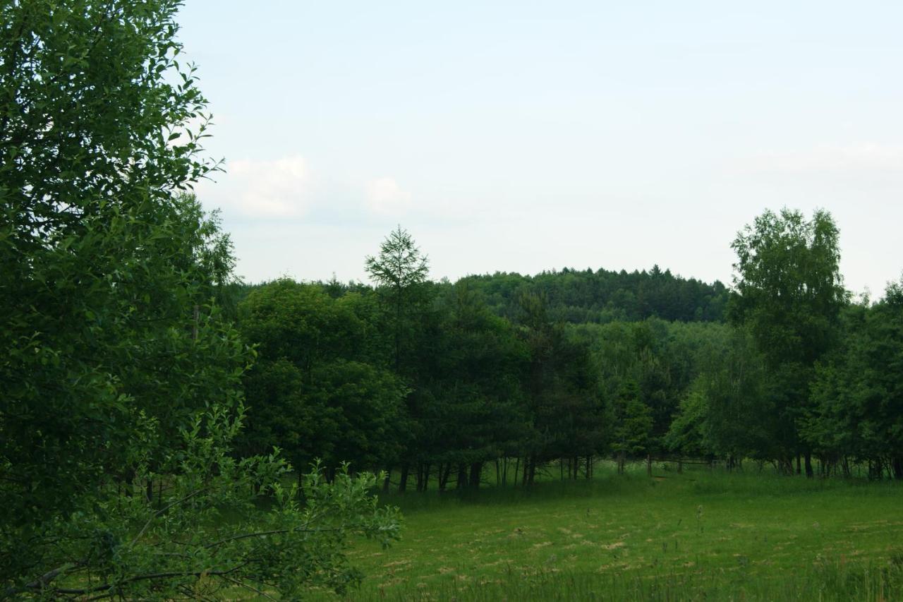Villa Siedlisko Blotnia Mierzeszyn Exterior foto